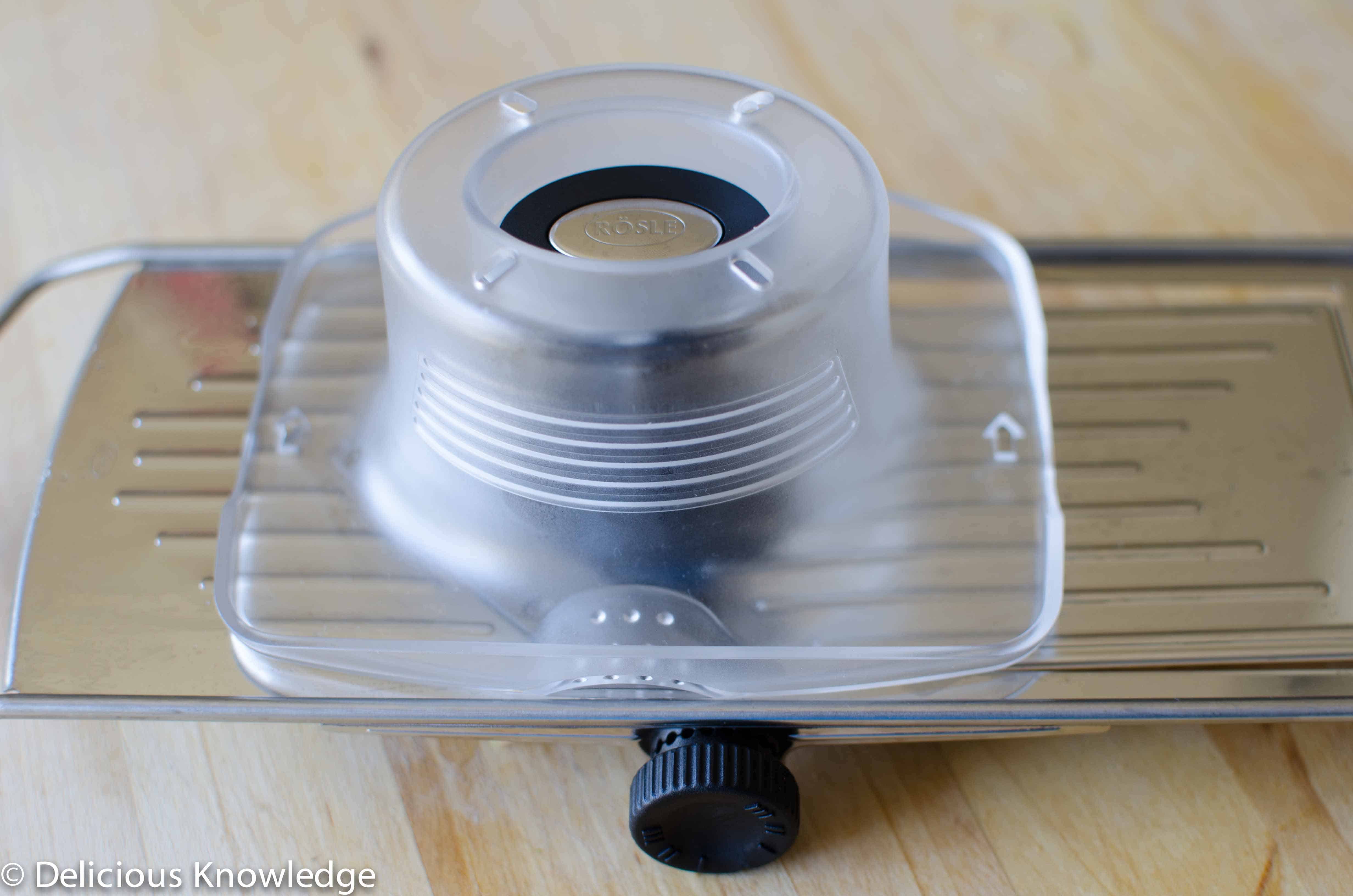 Apple Chips & Product Review Rösle VSlicer Delish Knowledge