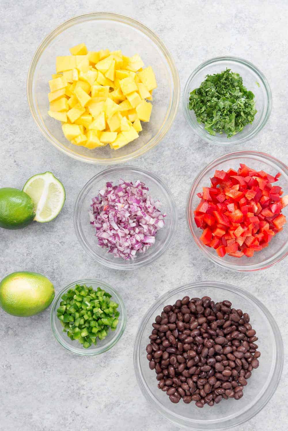 Components For Making Black Bean And Mango Salsa