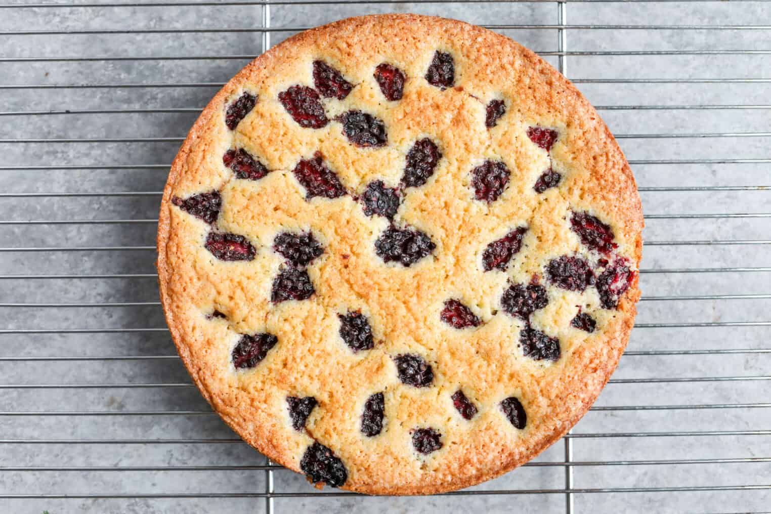 Blackberry Lemon Polenta Cake 9 A Round Lemon Polenta Cake With A Golden-Brown Crust And Scattered Blackberries On Top, Cooling On A Metal Wire Rack Over A Gray Surface.