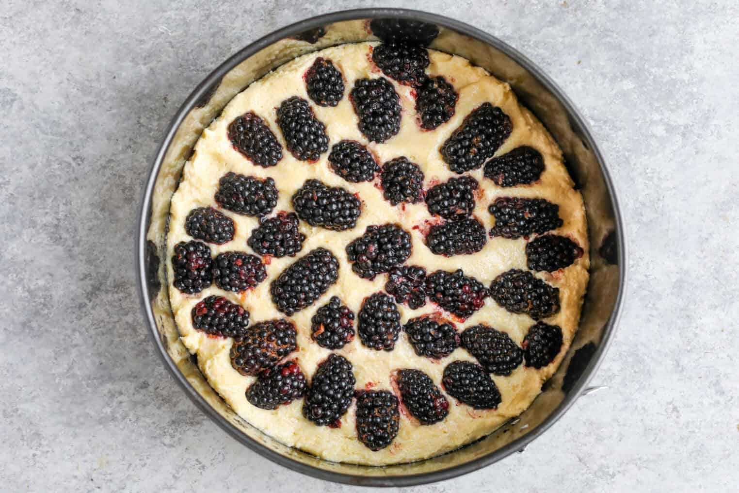 Blackberry Lemon Polenta Cake 8 A Round Baking Pan Filled With Unbaked Polenta Cake Dough Topped With Fresh Blackberries, Arranged Evenly Across The Surface, On A Gray Countertop.