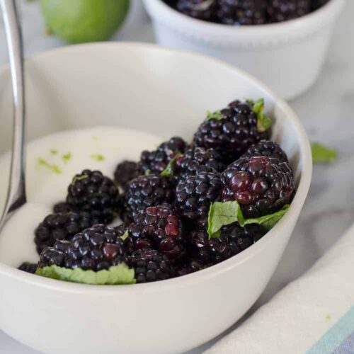 Blackberry Mint Lime Yogurt Bowls! Fresh Blackberries Tossed With Lime Juice And Mint And Served Over Greek Yogurt. A Healthy, Protein Packed Breakfast Or Snack. Vegetarian And Gluten-Free | Www.delishknowledge.com