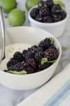Blackberry Mint Lime Yogurt Bowls! Fresh blackberries tossed with lime juice and mint and served over greek yogurt. A healthy, protein packed breakfast or snack. vegetarian and gluten-free | www.delishknowledge.com