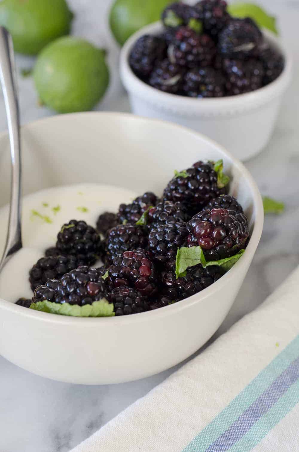 Blackberry Mint Lime Yogurt Bowls! Fresh Blackberries Tossed With Lime Juice And Mint And Served Over Greek Yogurt. A Healthy, Protein Packed Breakfast Or Snack. Vegetarian And Gluten-Free | Www.delishknowledge.com