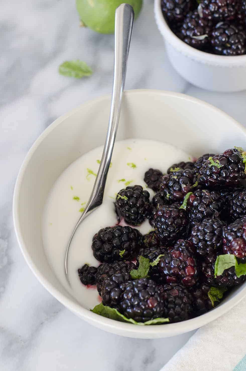 Blackberry Mint Lime Yogurt Bowls! Fresh Blackberries Tossed With Lime Juice And Mint And Served Over Greek Yogurt. A Healthy, Protein Packed Breakfast Or Snack. Vegetarian And Gluten-Free | Www.delishknowledge.com