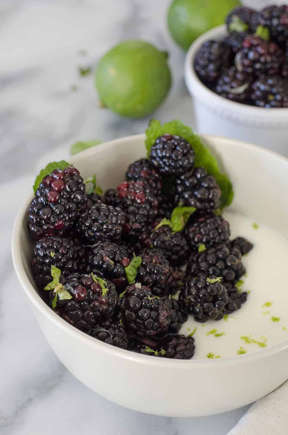 Blackberry Mint Lime Yogurt Bowls! Fresh Blackberries Tossed With Lime Juice And Mint And Served Over Greek Yogurt. A Healthy, Protein Packed Breakfast Or Snack. Vegetarian And Gluten-Free | Www.delishknowledge.com