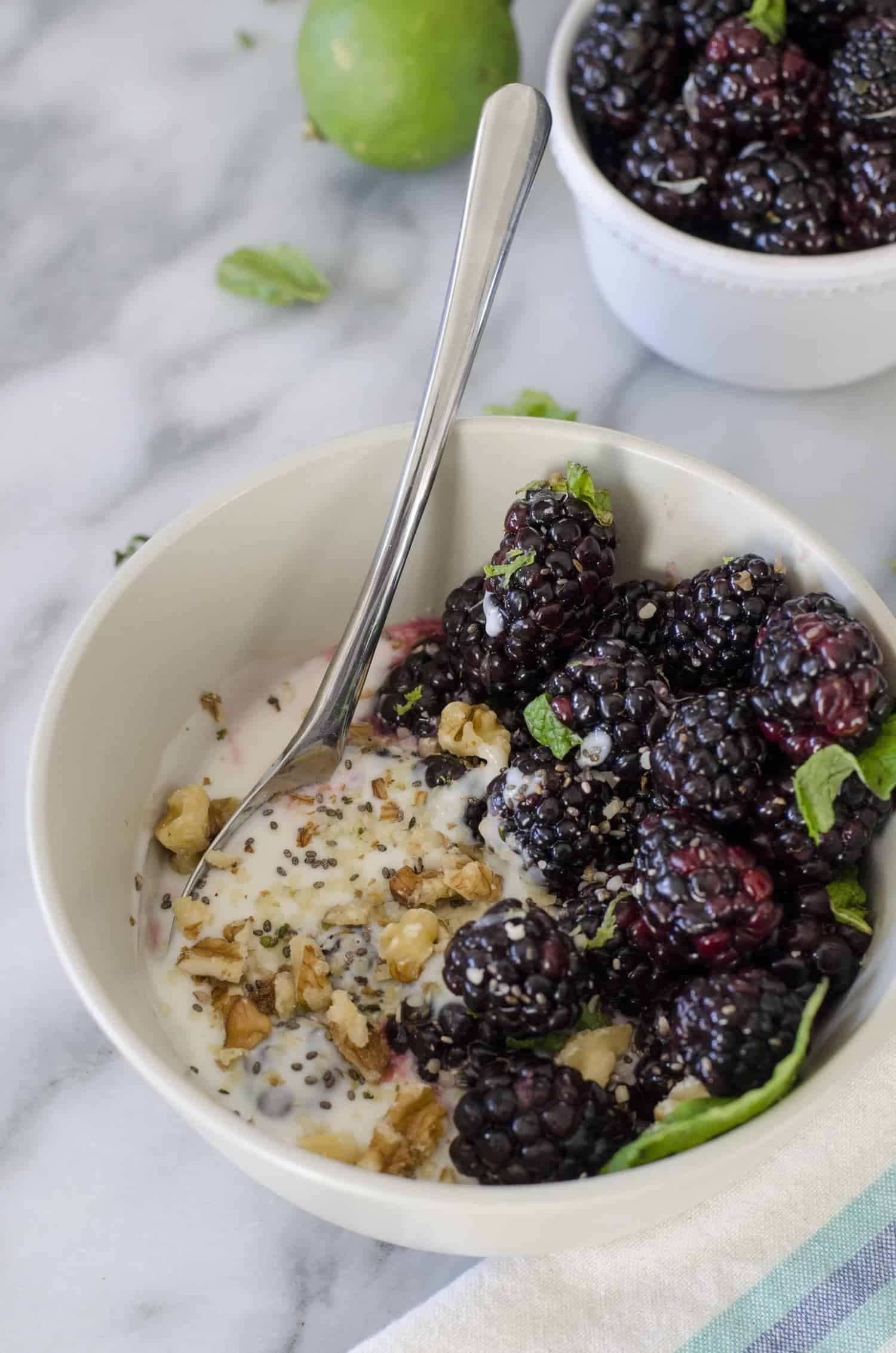 Blackberry Mint Lime Yogurt Bowls! Fresh Blackberries Tossed With Lime Juice And Mint And Served Over Greek Yogurt. A Healthy, Protein Packed Breakfast Or Snack. Vegetarian And Gluten-Free | Www.delishknowledge.com