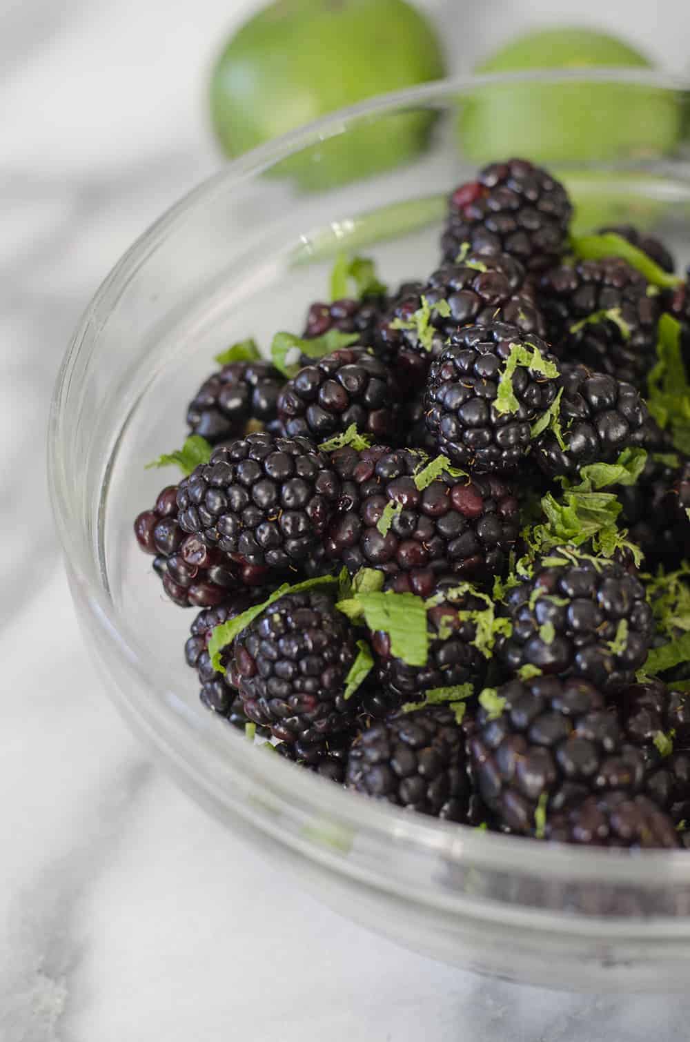 Blackberry Mint Lime Yogurt Bowls! Fresh Blackberries Tossed With Lime Juice And Mint And Served Over Greek Yogurt. A Healthy, Protein Packed Breakfast Or Snack. Vegetarian And Gluten-Free | Www.delishknowledge.com