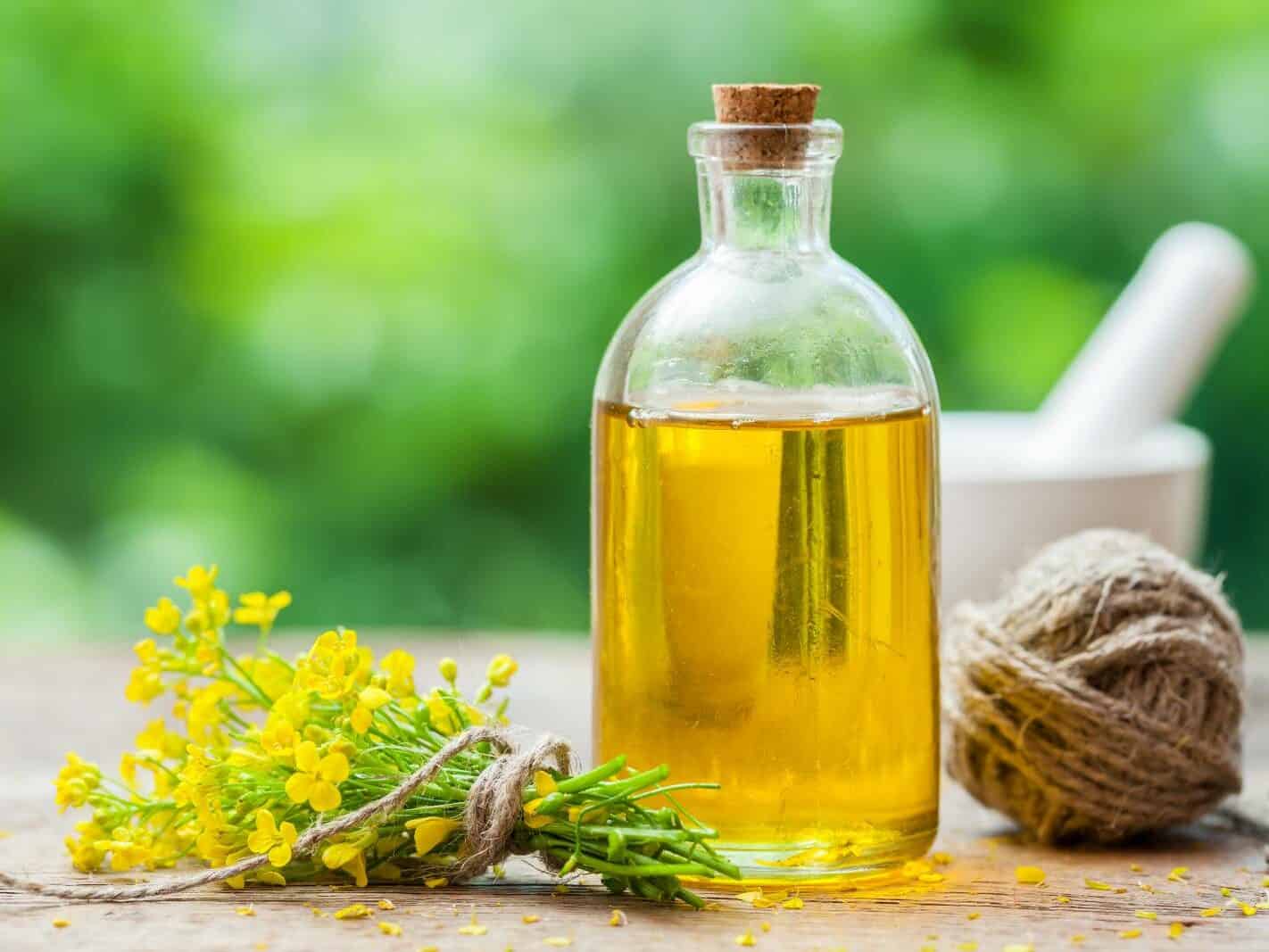 Prevent Fractures by Increasing Your Intake of These 7 Key Nutrients 6 Canola Oil Shutterstock Edited