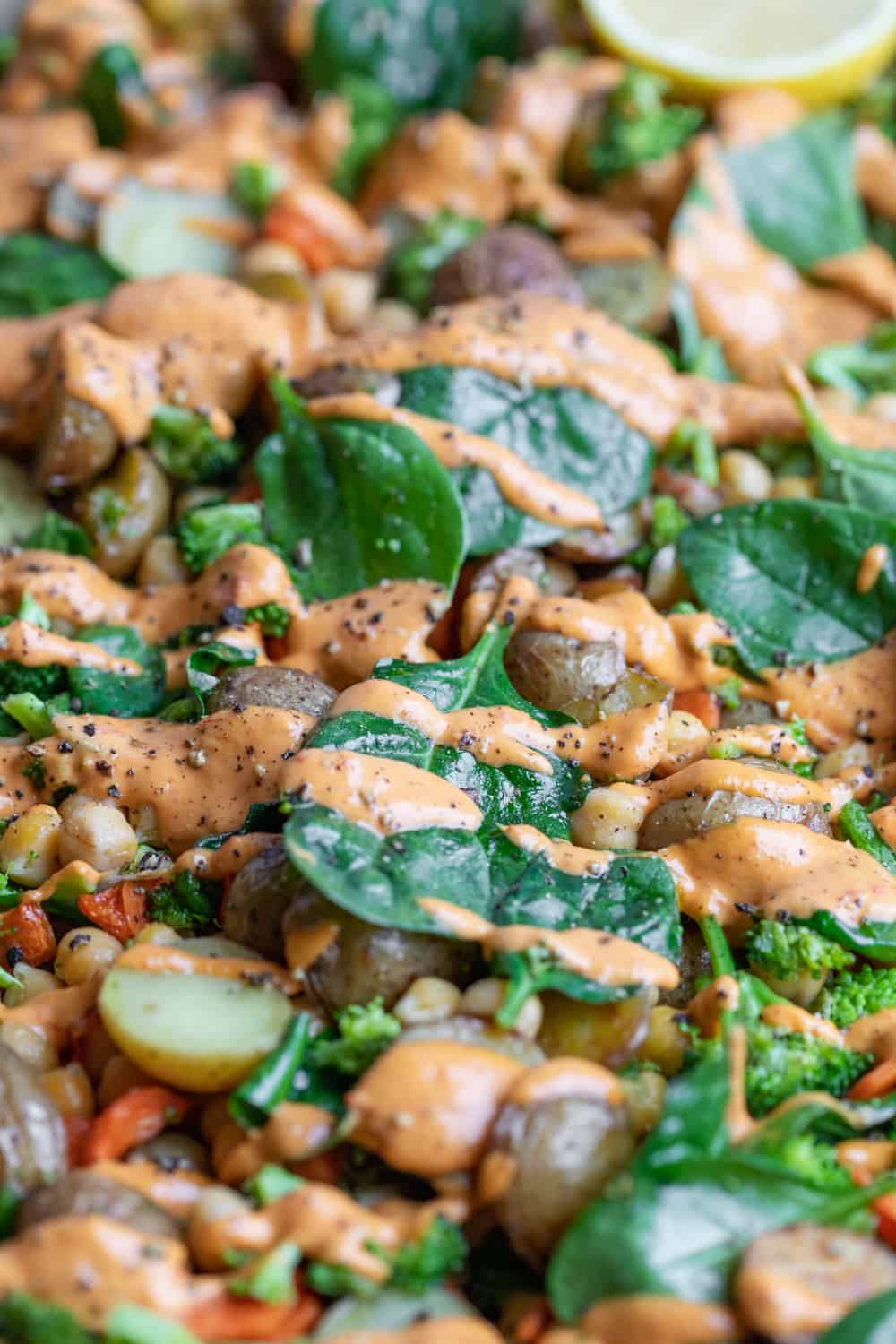 Close Up of spinach, potatoes and tahini sauce. 