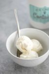 frozen yogurt recipe