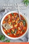 Creamy Tomato Tortellini Soup