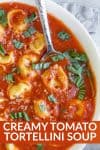 creamy tomato soup with tortellini