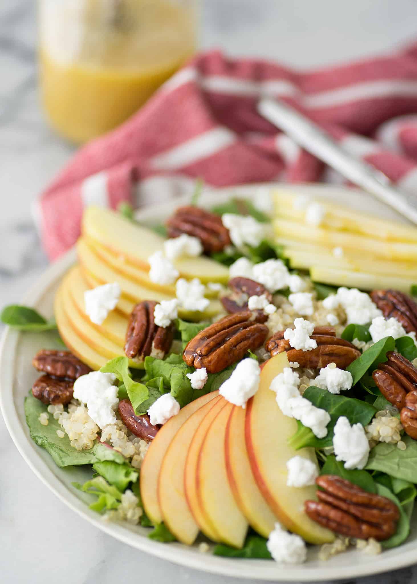 Fall Harvest Salad! A must make this fall. Mache lettuce, quinoa, apples, goat cheese, homemade honeyed pecans and a simple apple cider dressing. Vegetarian and Gluten-Free. | www.delishknowledge.com