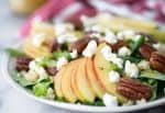Fall Harvest Salad! A must make this fall. Mache lettuce, quinoa, apples, goat cheese, homemade honeyed pecans and a simple apple cider dressing. Vegetarian and Gluten-Free. | www.delishknowledge.com