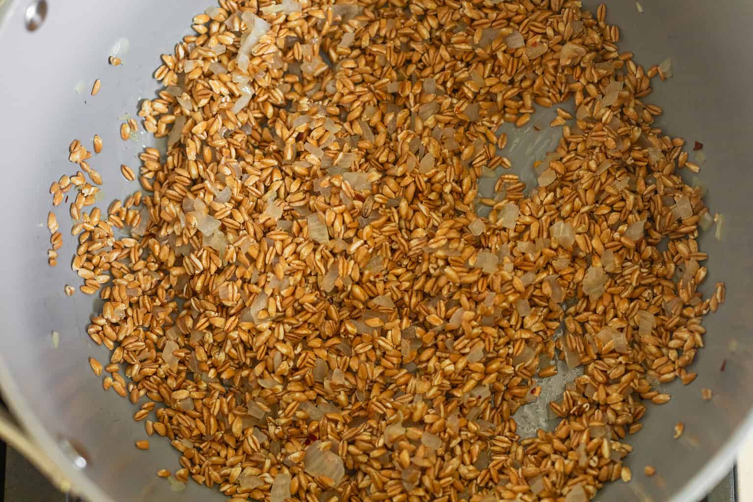 Farro Risotto with Butternut Squash (Farrotto) - Delish Knowledge