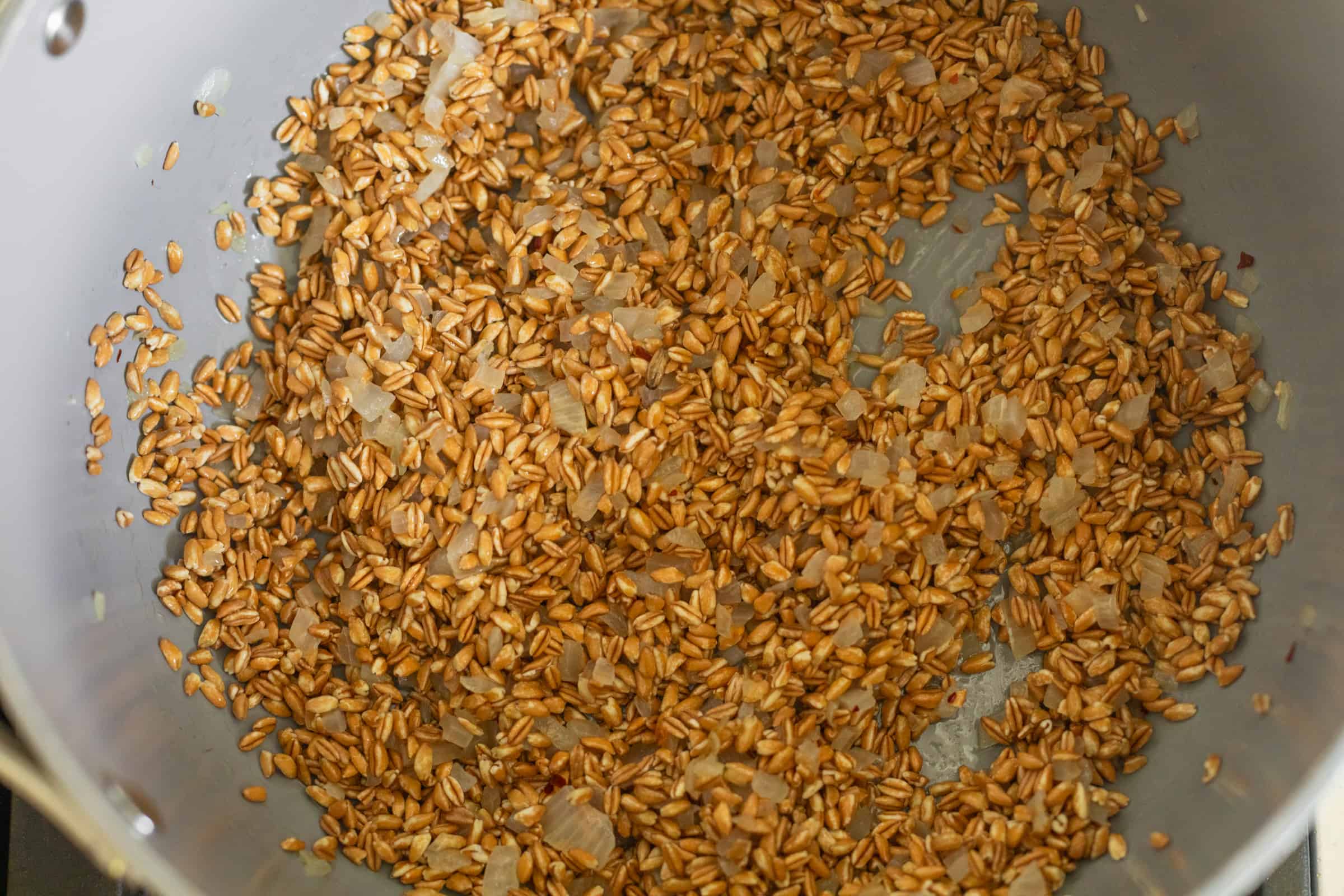 farrotto with farro