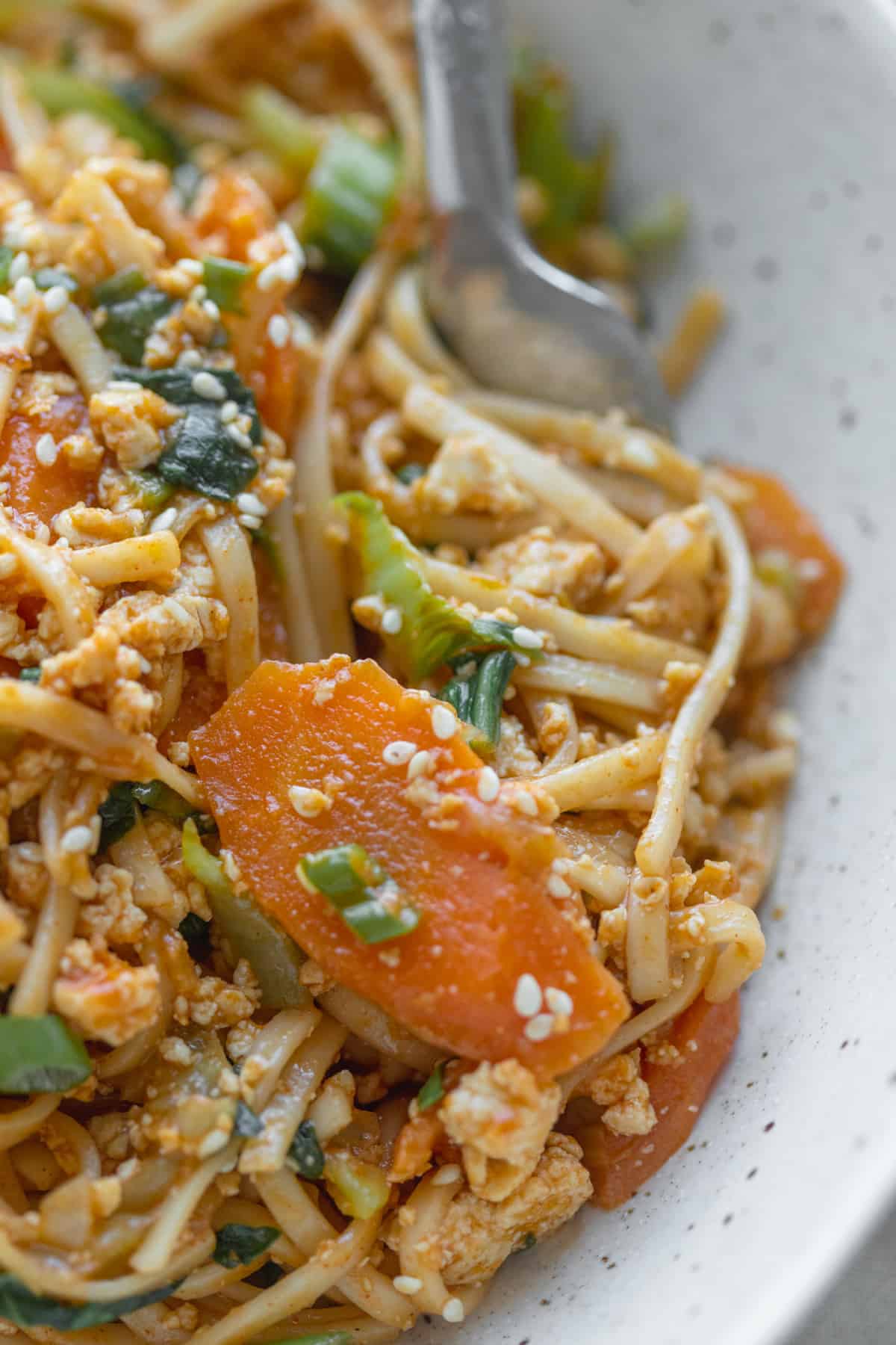 Stir Fry Udon Noodles With Vegetables