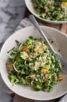 Green Bean, Quinoa and Sprout Salad! This lettuce-free salad is perfect for lunch or a light dinner. Green beans, broccoli, quinoa, carrots and sprouts tossed in a fresh dressing. Vegan and Gluten-Free | www.delishknowledge.com