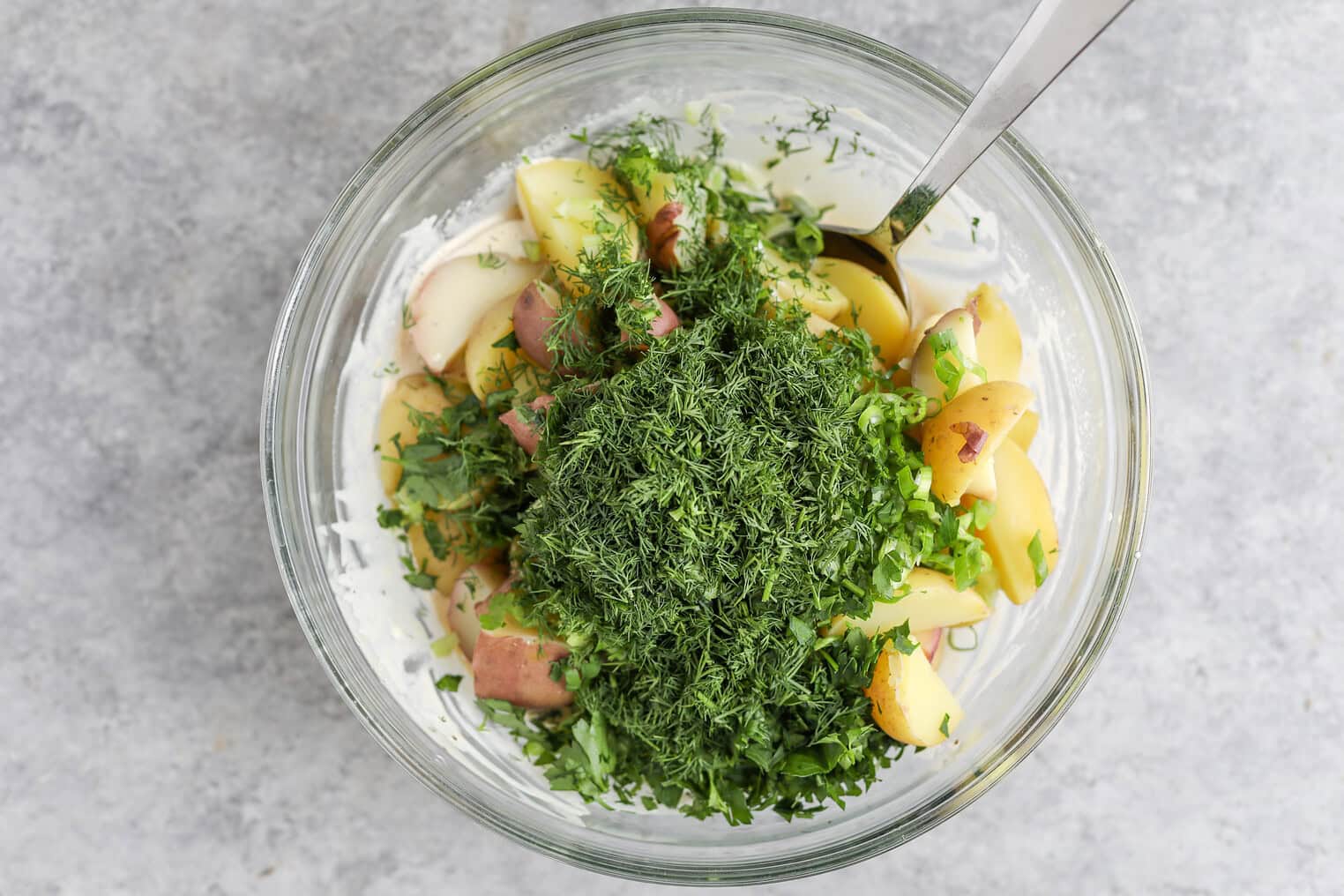 Creamy Herbed Potato Salad 7 A Glass Bowl Filled With Sliced Red Potatoes, Chopped Fresh Dill, And Green Herbs Sits On A Gray Surface. A Spoon Rests Inside, Ready To Mix The Ingredients For A Flavorful Herbed Potato Salad.