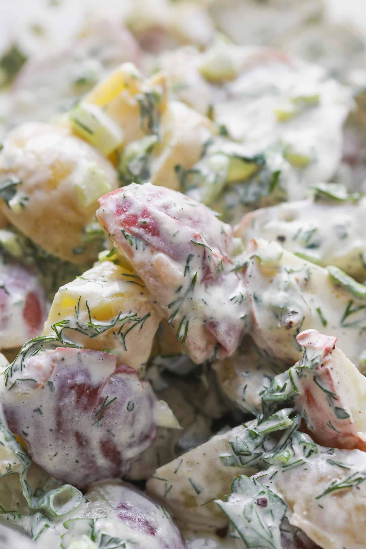 Creamy Herbed Potato Salad 9 Close-Up Of A Creamy Herbed Potato Salad With Chunks Of Red And Yellow Potatoes, Coated In A White Dressing And Mixed With Chopped Fresh Dill And Celery.