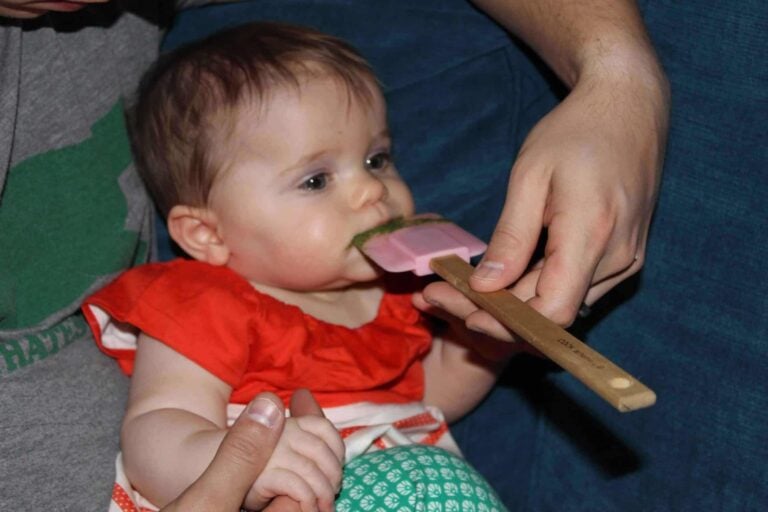 Raising A Healthy Baby: Baby Food Basics