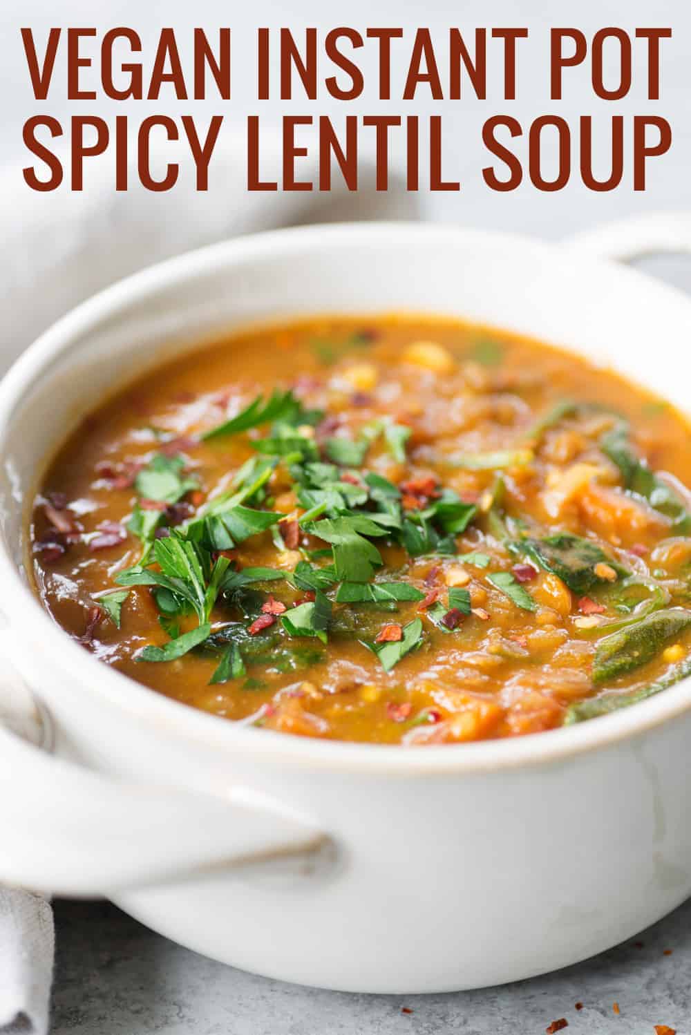 Vegan Instant Pot Lentil Soup Recipe (Quick & Easy) Delish Knowledge