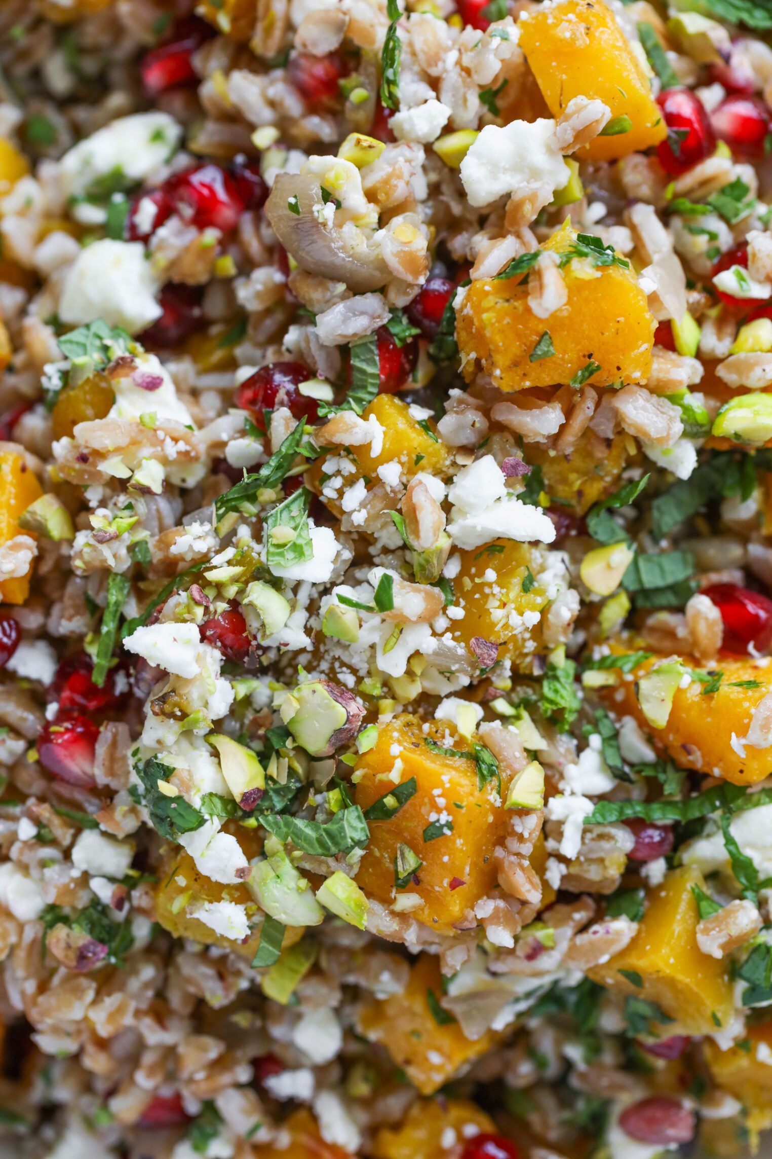 Close-Up Of A Colorful Jeweled Farro Salad With Cubes Of Roasted Butternut Squash, Crumbled Feta Cheese, Pomegranate Seeds, Chopped Herbs, And Grains, All Mixed Together For A Fresh And Vibrant Dish.
