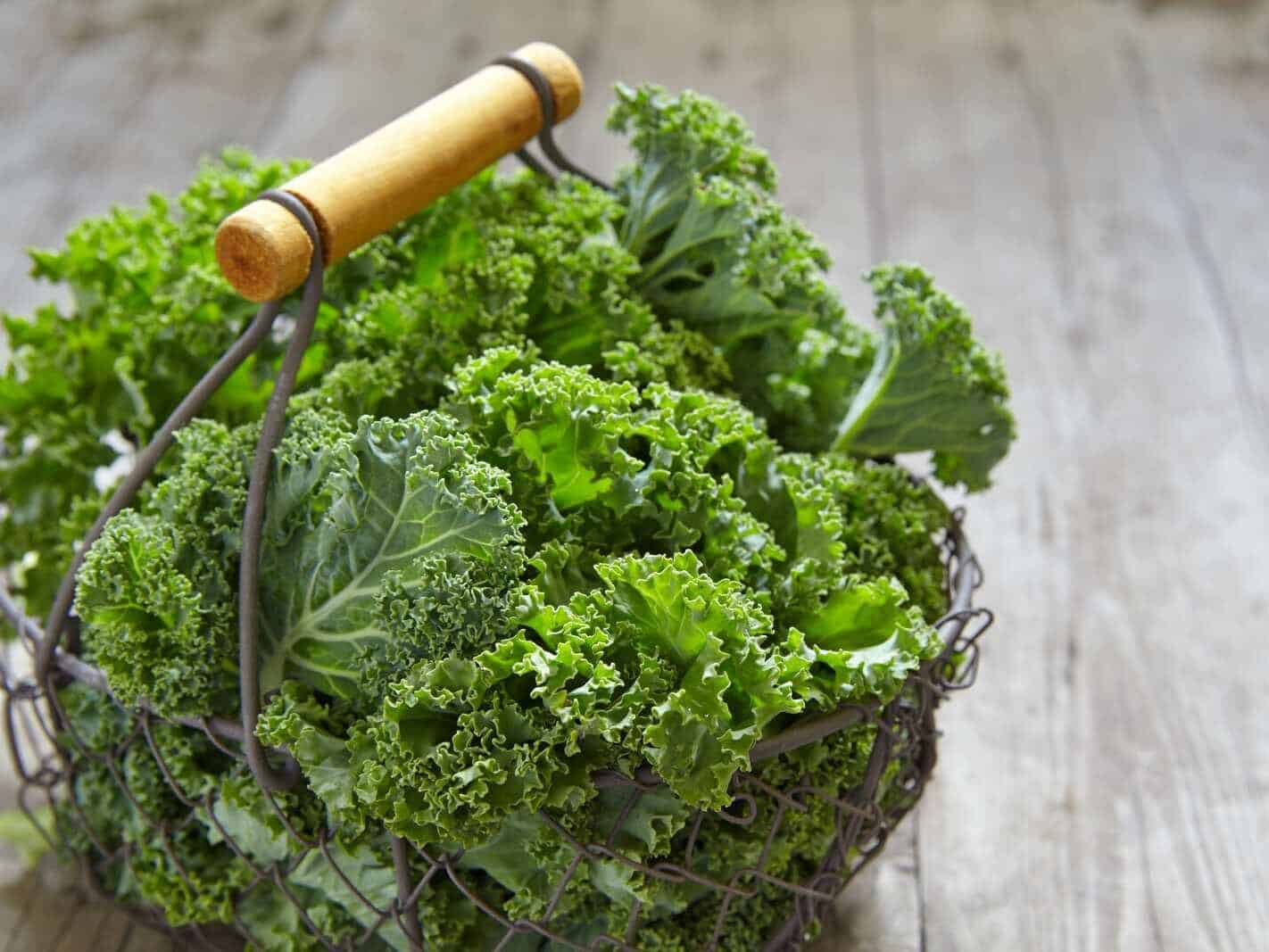 Kale - Shutterstock