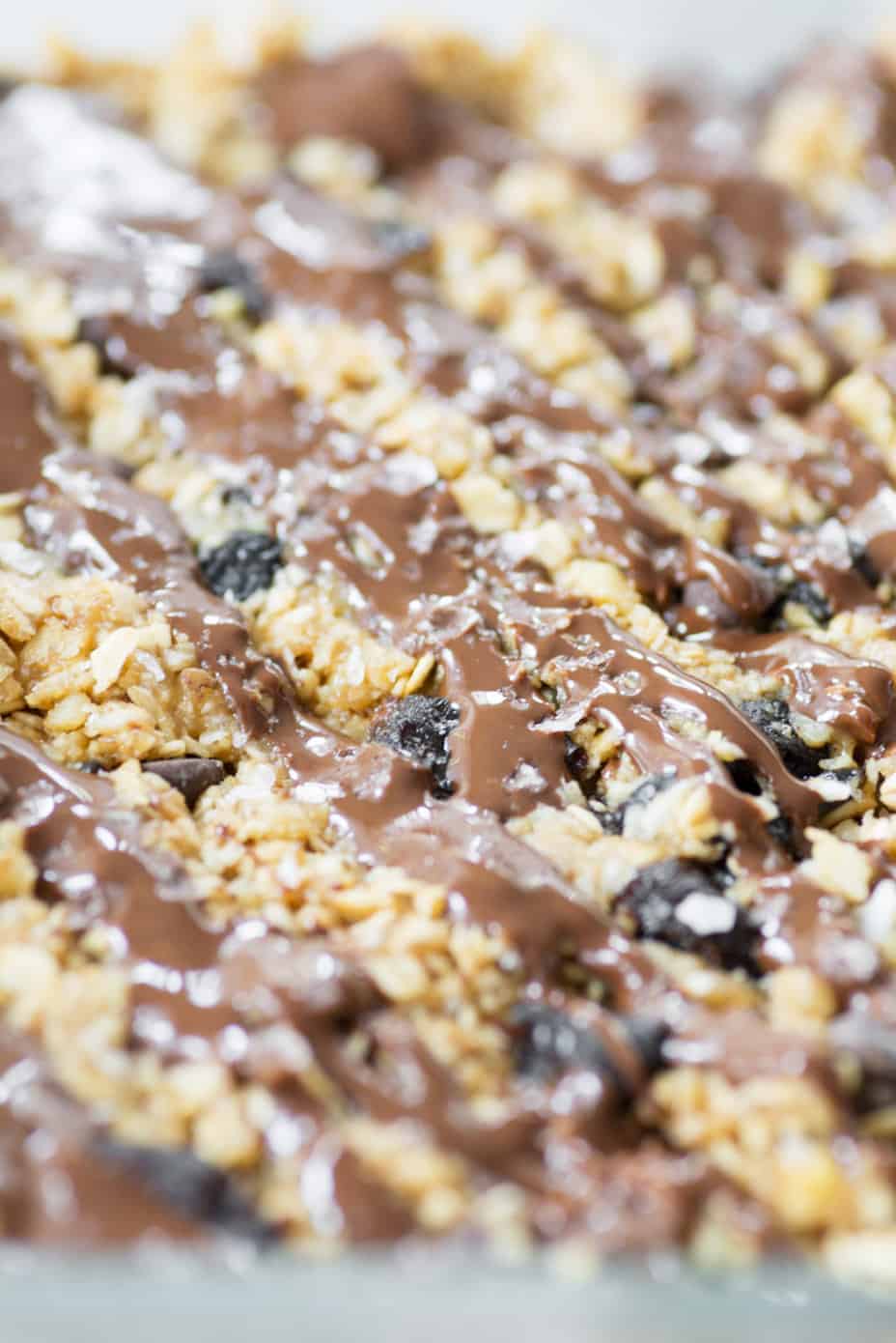 Salted Chocolate Granola Bars