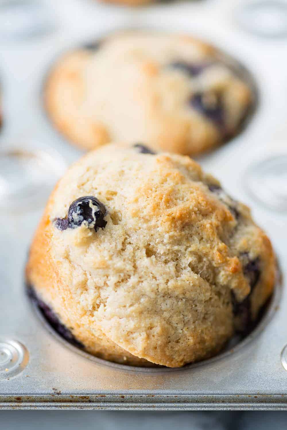 Greek Yogurt Blueberry Muffins Delish Knowledge