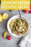 Vegan Lemon Potato Salad with texts