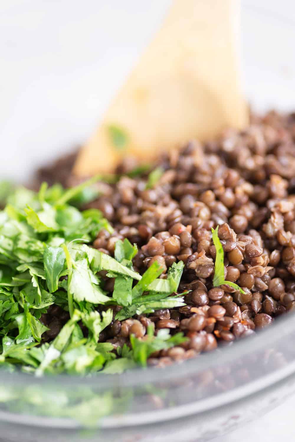 Potato, Harissa and Lentil Buddha Bowl 5 Lentil Buddha Bowl