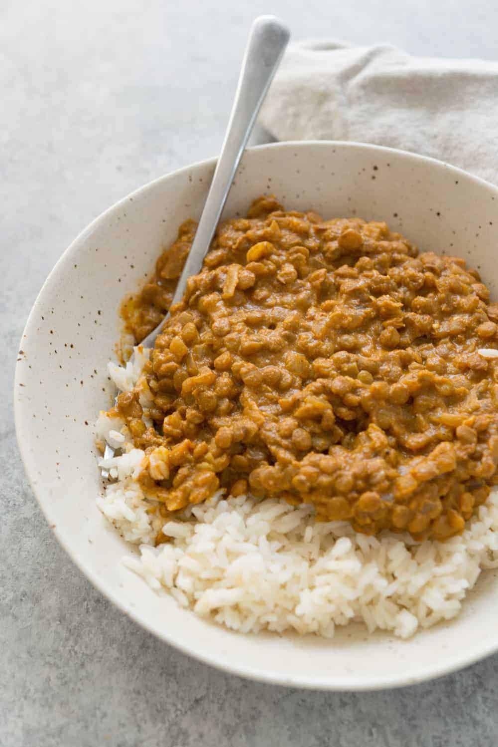 Vegan Lentil Masala