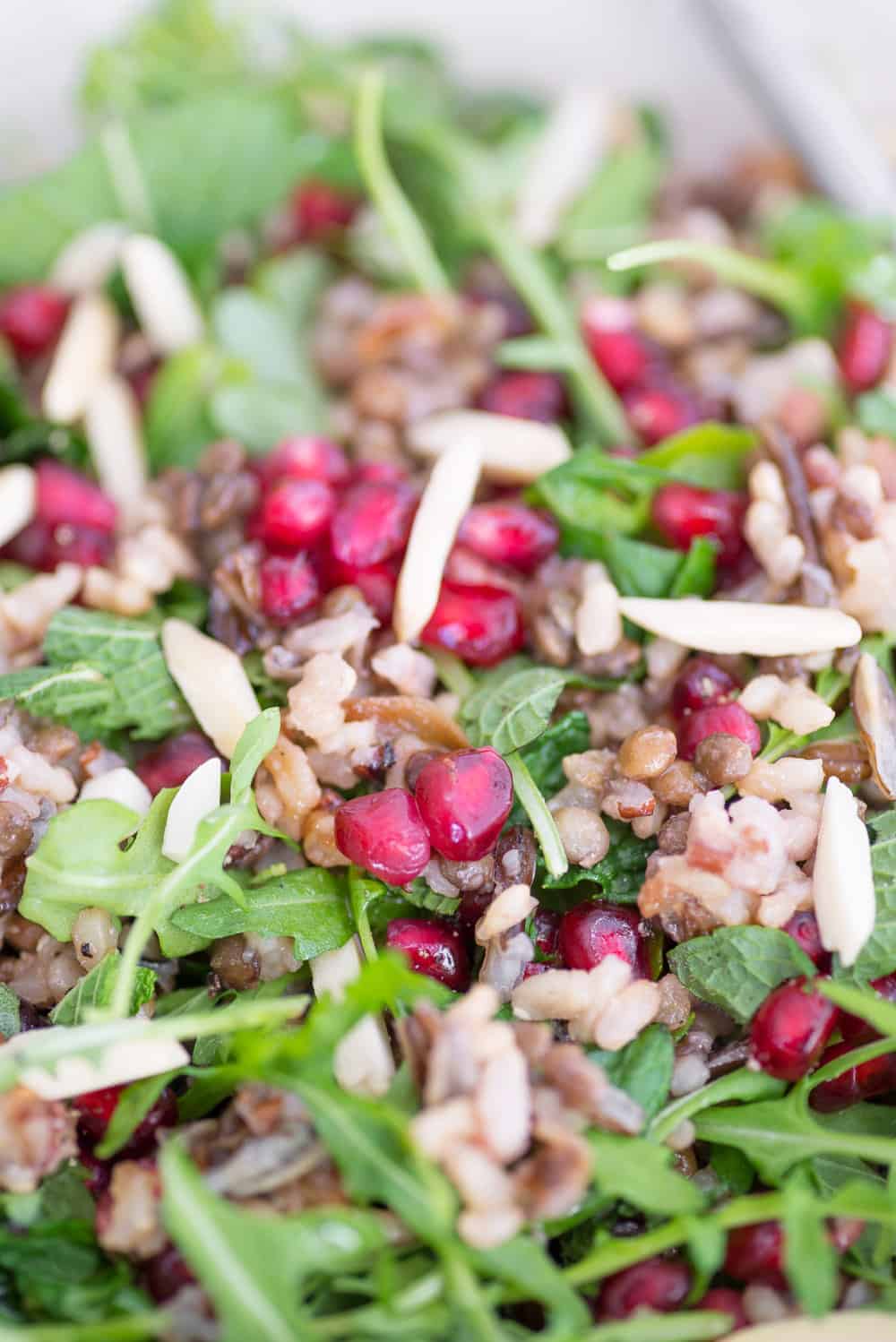 Close Up Of Lentil, Arugula And Wild Rice Salad 