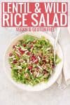 vegan and gluten-free salad with texts