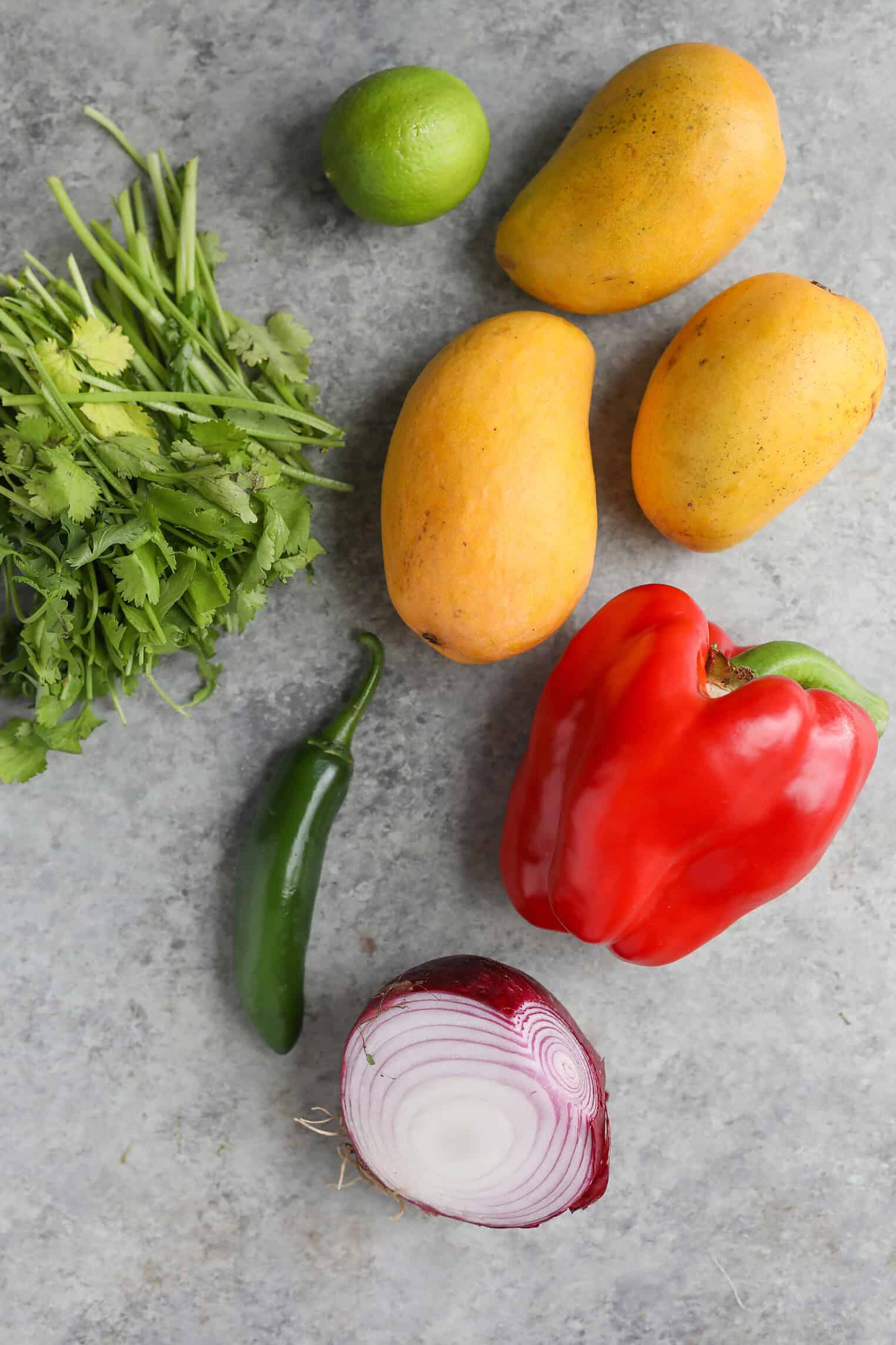 A Bunch Of Cilantro, A Lime, Three Mangoes, A Jalapeño Pepper, A Red Bell Pepper, And Half A Red Onion Arranged On A Gray Surface—Perfect Ingredients For A Fresh Mango Salsa Recipe.