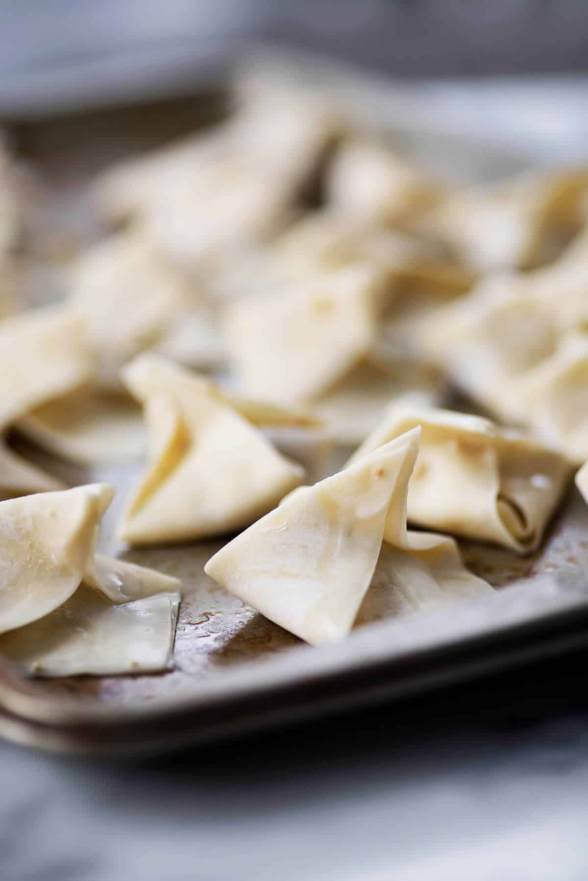 Mushroom Wonton Soup! Homemade Wontons With Mushrooms And Tofu Served In A Rich Mushroom Broth. A Vegetarian Must! (Easily Vegan) | Www.delishknowledge.com