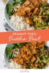 Peanut Tofu Buddha Bowl with texts