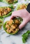 lettuce wrap with tofu