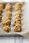 Pumpkin Cranberry Energy Bites! Looking for a healthy pumpkin treat? This is it! Rolled oats, dried cranberries, pepitas, pumpkin spice in a granola bar bite form. Gluten-Free and easily vegan. | www.delishknowledge.com
