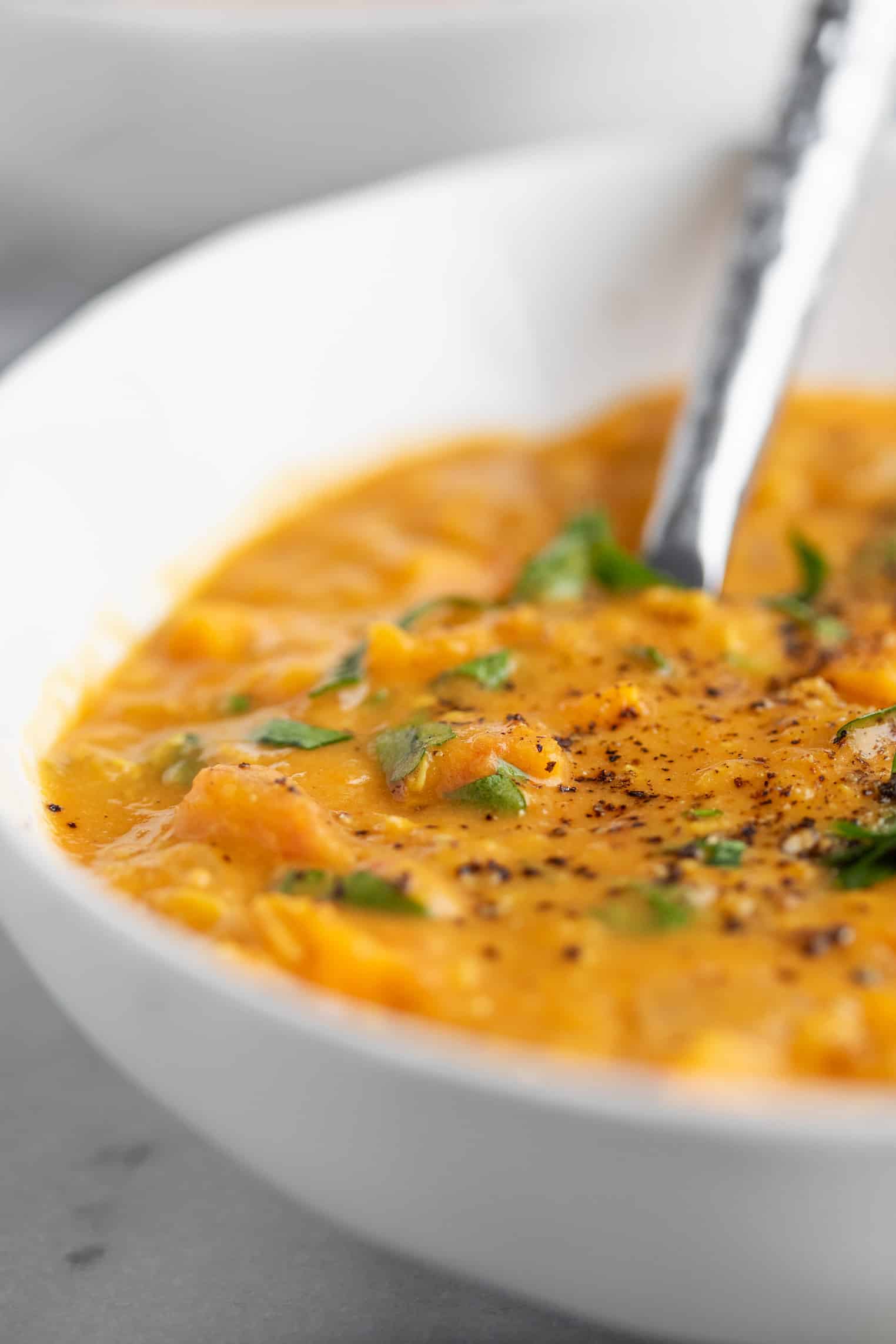 Close Up View Of Bowl With Red Lentil Curry Soup