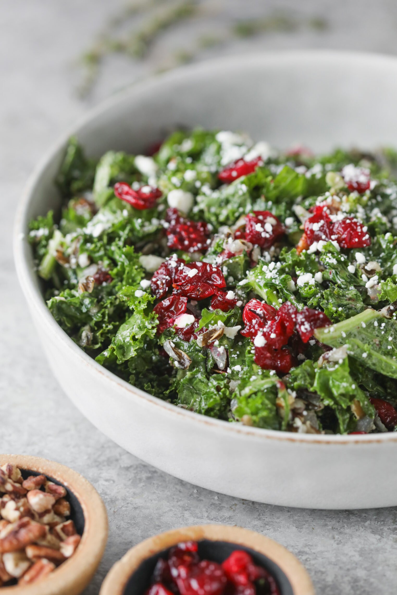 A Bowl Of Wild Rice And Kale Salad Topped With Dried Cranberries, Crumbled Feta Cheese, And Seeds, With Small Bowls Of Pecans And Dried Cranberries On The Side.