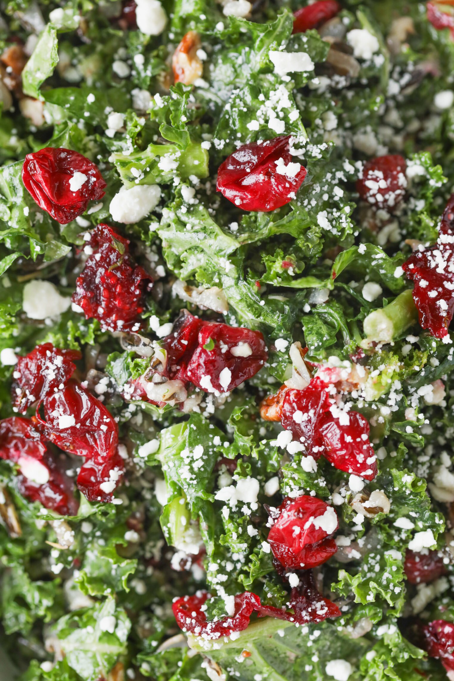 A Close-Up Of A Wild Rice And Kale Salad With Bright Red Dried Cranberries, Crumbled Feta Cheese, Sunflower Seeds, Wild Rice, And Chopped Green Kale Leaves, All Lightly Coated In Dressing.