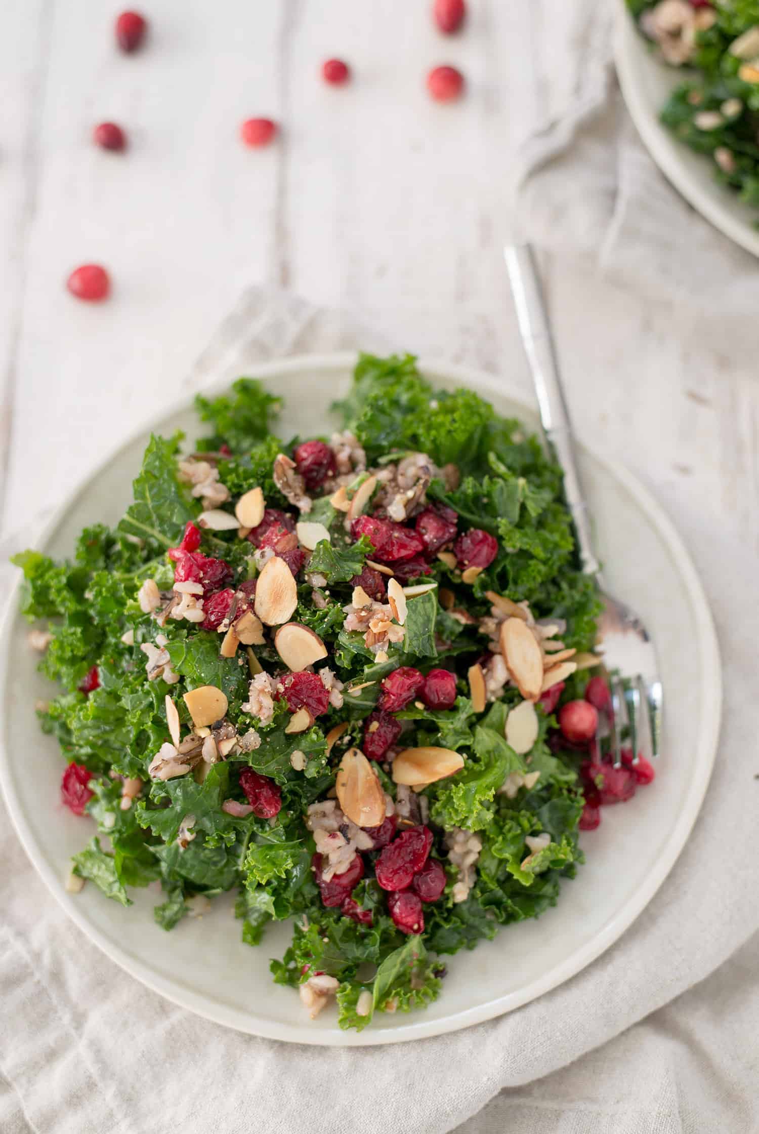 Roasted Cranberry, Wild Rice And Kale Salad! The Perfect Salad For The Holiday Season. Roasted Thyme Cranberries With Wild Rice, Toasted Almonds, Wild Rice And Maple-Shallot Dressing. Vegan And Gluten-Free. | Www.delishknowledge.com