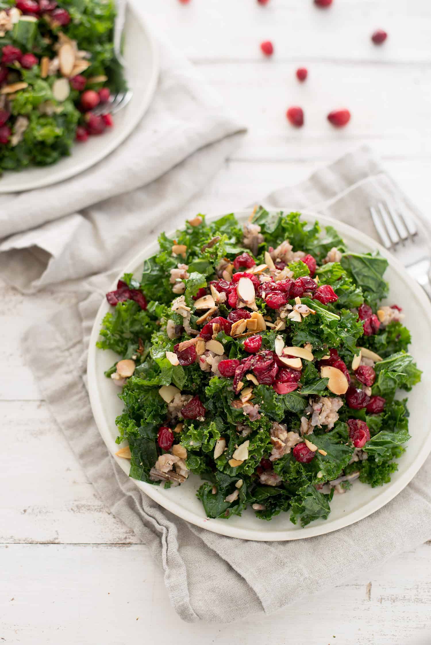 Roasted Cranberry, Wild Rice And Kale Salad! The Perfect Salad For The Holiday Season. Roasted Thyme Cranberries With Wild Rice, Toasted Almonds, Wild Rice And Maple-Shallot Dressing. Vegan And Gluten-Free. | Www.delishknowledge.com