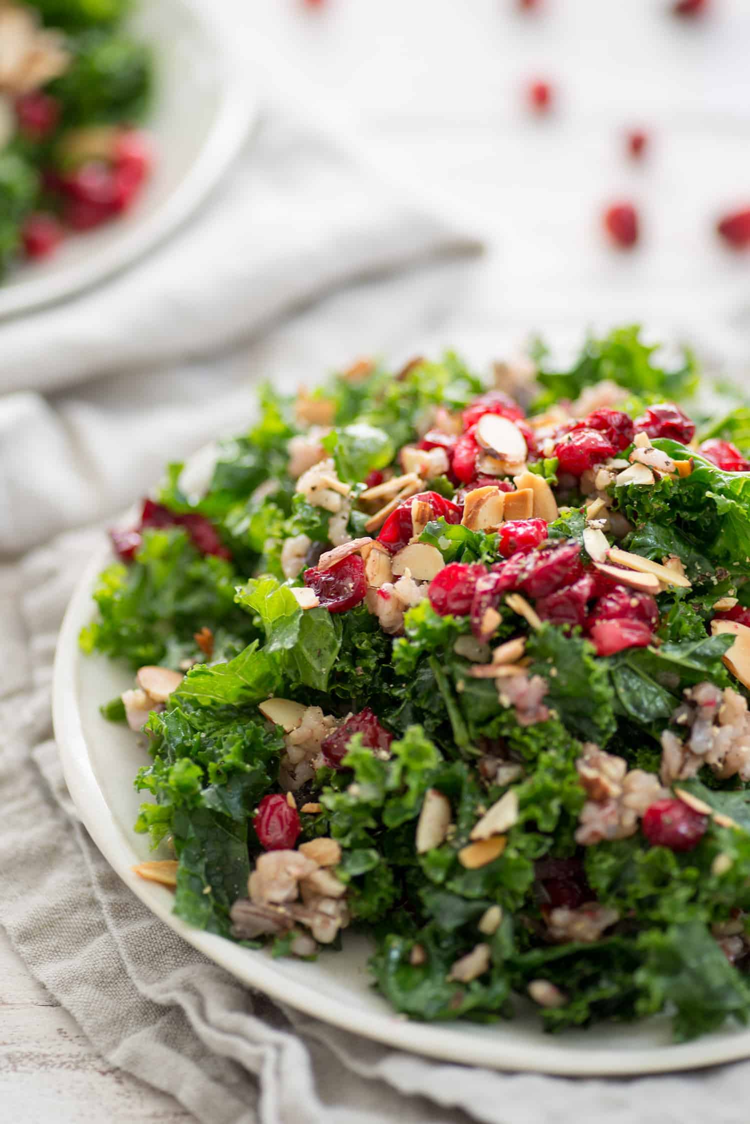 Roasted Cranberry, Wild Rice And Kale Salad! The Perfect Salad For The Holiday Season. Roasted Thyme Cranberries With Wild Rice, Toasted Almonds, Wild Rice And Maple-Shallot Dressing. Vegan And Gluten-Free. | Www.delishknowledge.com