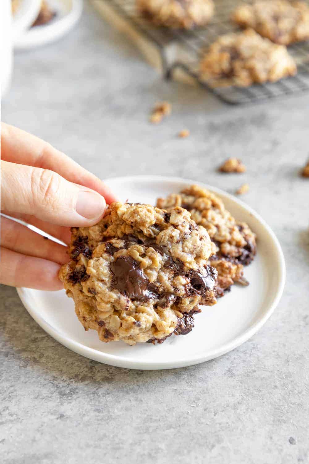 Vegan Chocolate Chip Cookies