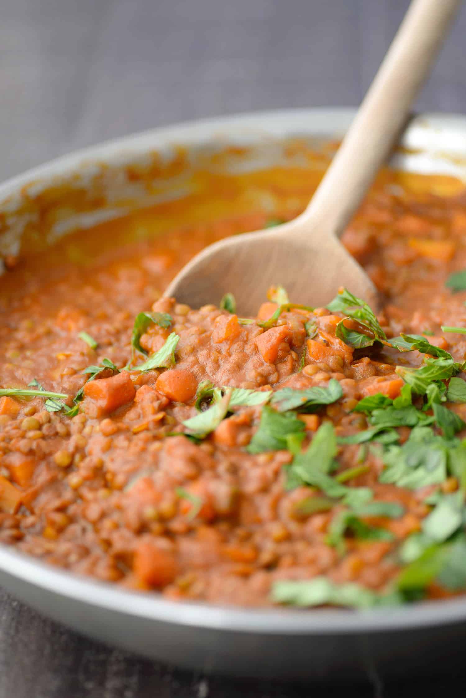 Close Up Shot Of Vegan Coconut Lentil Curry 