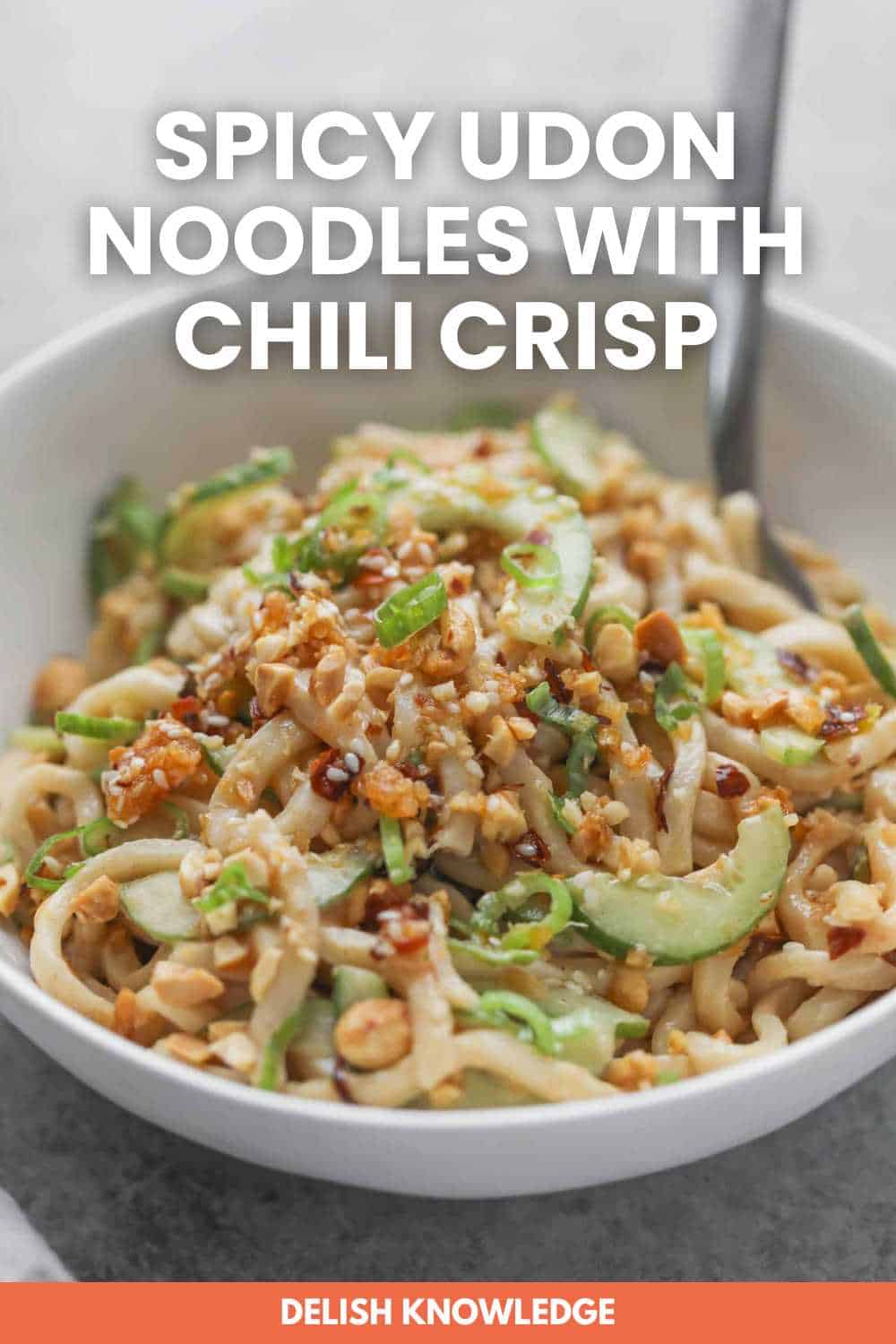 Spicy Udon Noodles with Chili Crisp Delish Knowledge