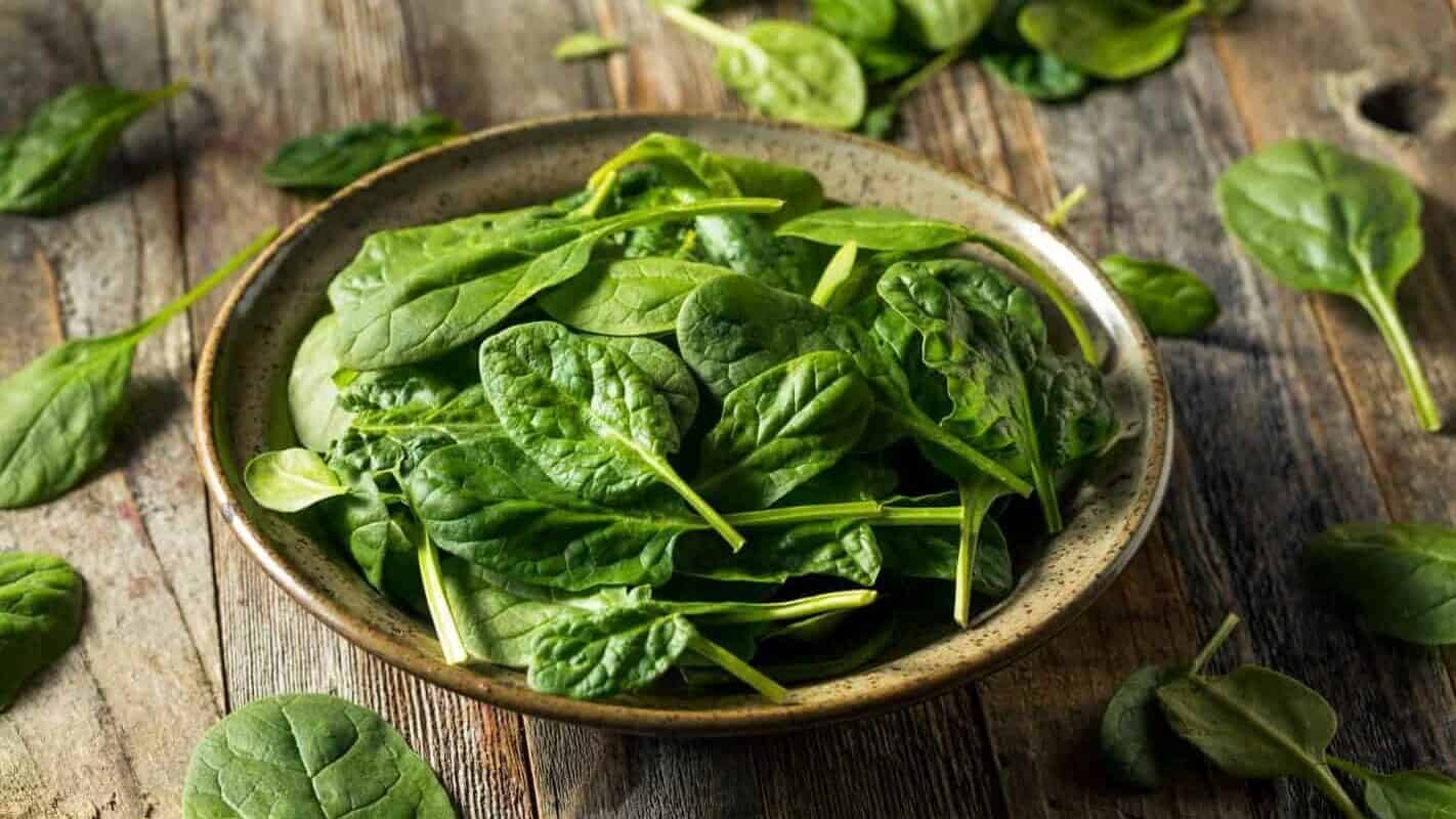 Spinach Shutterstock Edited 1